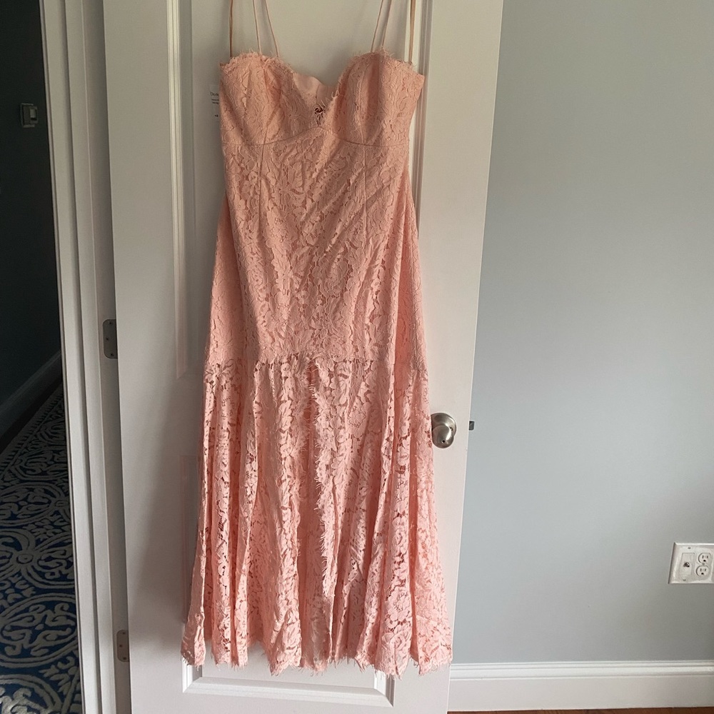 Fame and Partners Blush lace  midi 14